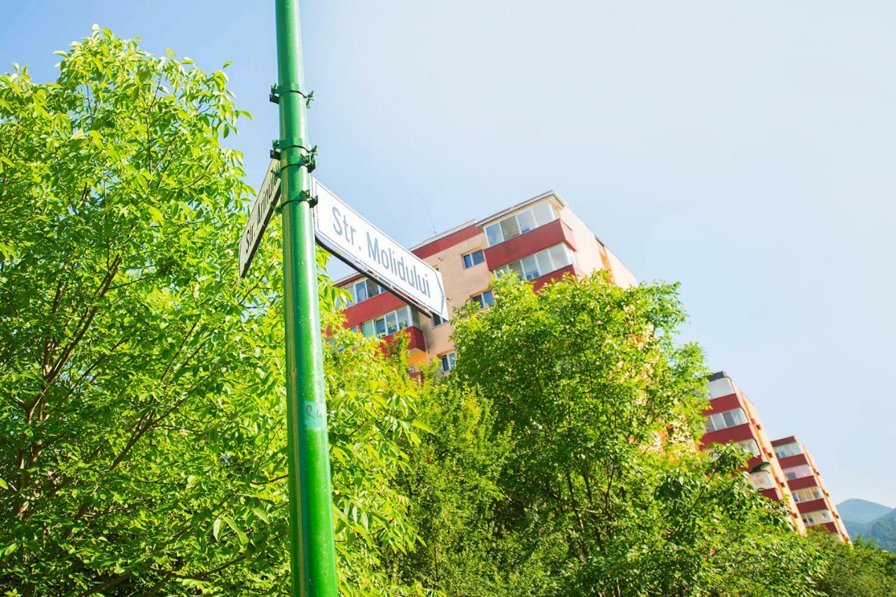 בראשוב Luna Apartment מראה חיצוני תמונה